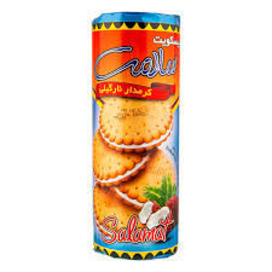 تصویر از سلامت بیسکوئیت کرمدار نارگیلی 400گرم